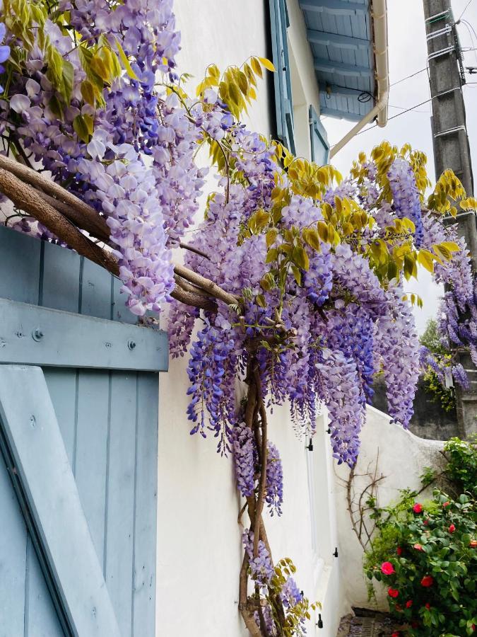 Carresse La Poterie B&B 외부 사진