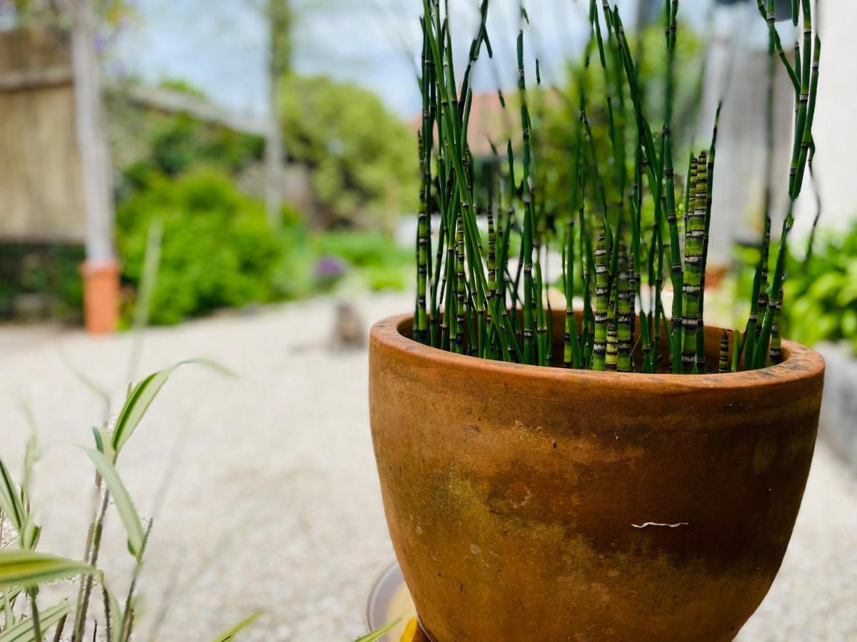 Carresse La Poterie B&B 외부 사진
